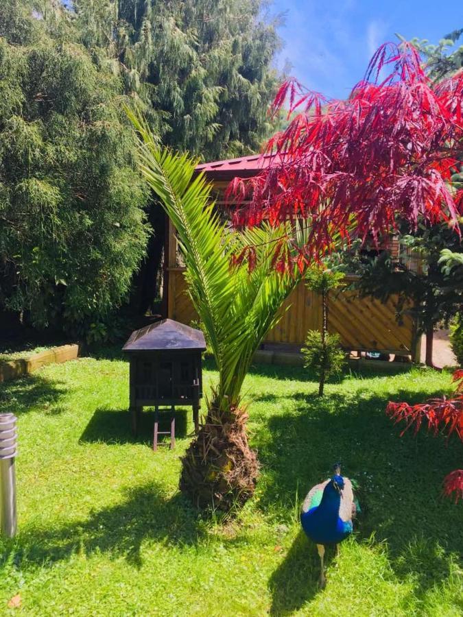 Vacation Home Nukri Gonio Luaran gambar