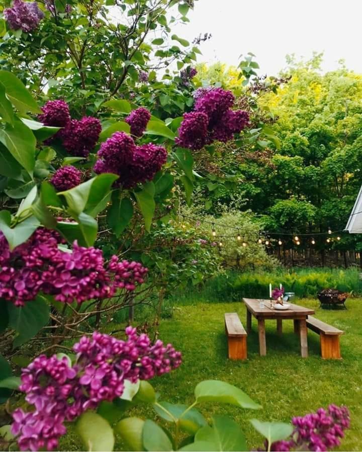 Vacation Home Nukri Gonio Luaran gambar